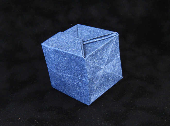 Origami Borg Cube by Andrew Pang. Folded from a square of patterned paper by Gilad Aharoni on giladorigami.com