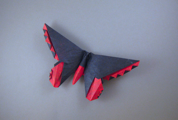 Origami Butterfly - Birdwing by Michael G. LaFosse folded by Gilad Aharoni