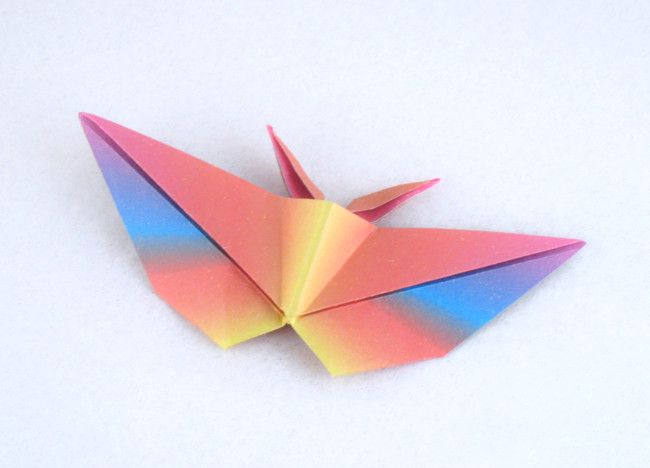 Origami Butterfly by Jun Maekawa folded by Gilad Aharoni