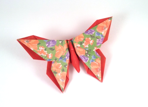 Michael LaFosse's Origami Butterflies by Michael G. LaFosse and Richard ...