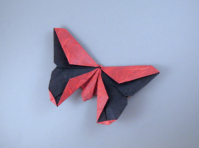 Origami Butterflies Kit: The Lafosse Butterfly Design System - Kit Includes  2 Origami Books, 12 Projects, 98 Origami Papers: Great for Both Kid (Other)