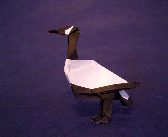 Origami Canada goose by John Montroll folded by Gilad Aharoni