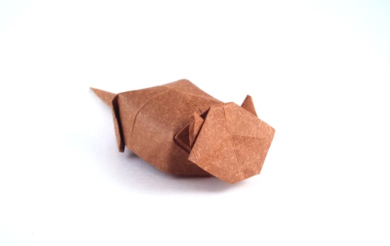 Origami Box-sitting cat by Makoto Yamaguchi folded by Gilad Aharoni