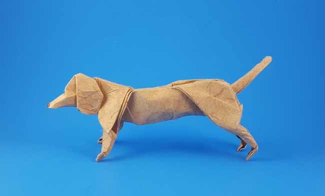 Origami Dachshund by Artur Biernacki folded by Gilad Aharoni