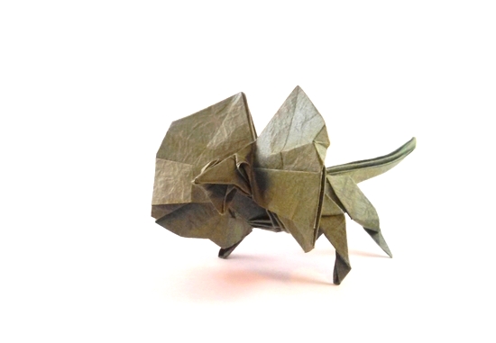 Origami Frill-necked lizard by Gen Hagiwara folded by Gilad Aharoni