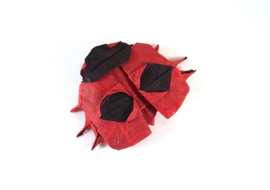 Origami Ladybug by Aaron Einbond folded by Gilad Aharoni