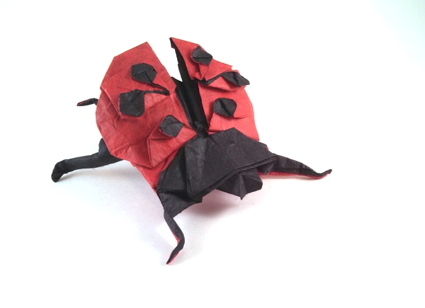 Origami Ladybug by Marc Kirschenbaum folded by Gilad Aharoni