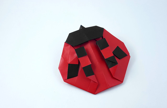 Origami Ladybug by Marc Kirschenbaum folded by Gilad Aharoni