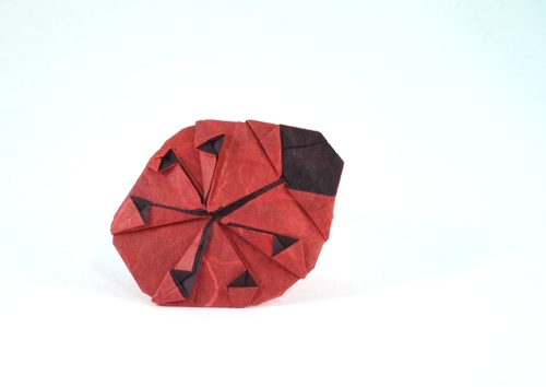 Origami Ladybug by Marc Kirschenbaum folded by Gilad Aharoni