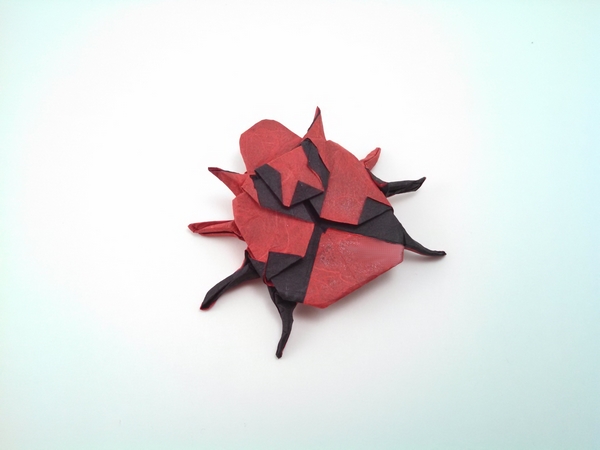 Origami Ladybug by Zsolt Sebok folded by Gilad Aharoni