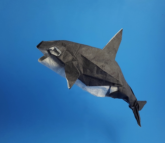 Origami Orca by Satoshi Kamiya folded by Gilad Aharoni