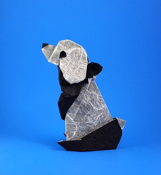 Origami Panda by Zsolt Sebok folded by Gilad Aharoni