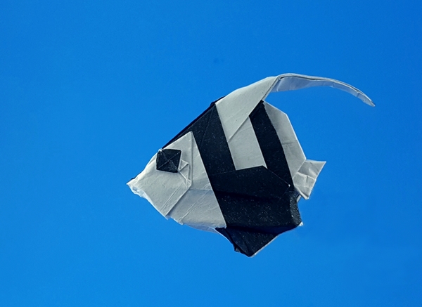 Origami Pennant coralfish by Tsuruta Yoshimasa folded by Gilad Aharoni