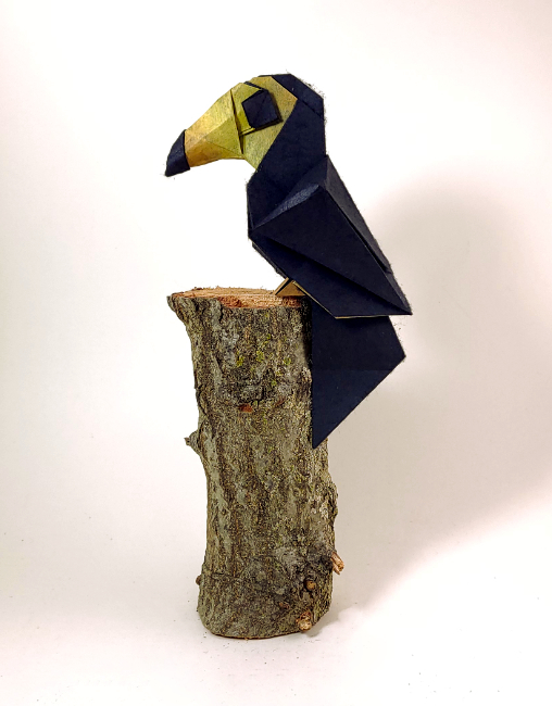 Origami Toucan by Jiahui Li (Syn) folded by Gilad Aharoni