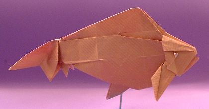 Origami Wakin by Ronald Koh folded by Gilad Aharoni