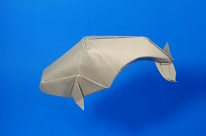 Origami Gray whale by Kade Chan folded by Gilad Aharoni