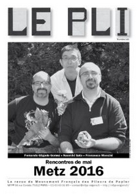 Cover of Le Pli 141