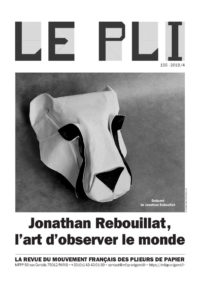 Cover of Le Pli 155