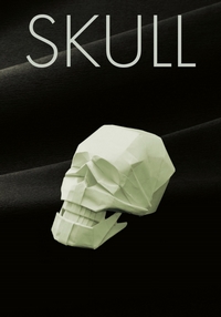 Skull book cover