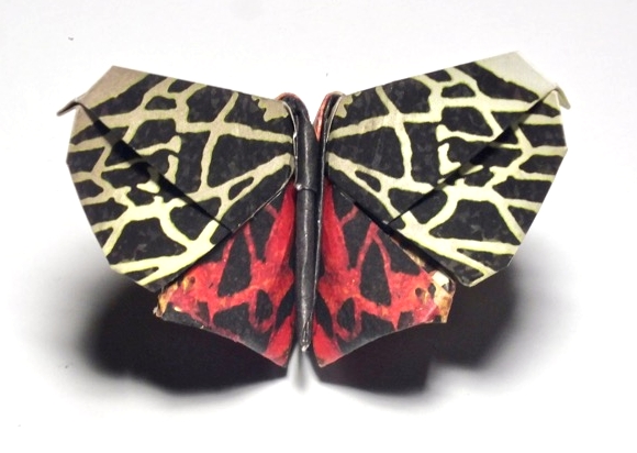 Origami Cream-spot tiger moth and zebra longwing by Roman Diaz on giladorigami.com
