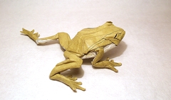 Origami Tree frog by Satoshi Kamiya on giladorigami.com