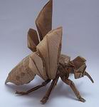 satoshi kamiya wasp 2.6