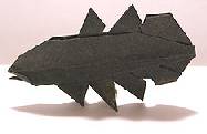 Origami Coelacanth by Fumiaki Kawahata on giladorigami.com