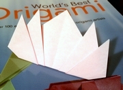Origami Water lily - 2D by Traditional on giladorigami.com