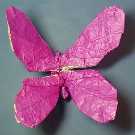 Origami Butterfly by Robert J. Lang on giladorigami.com
