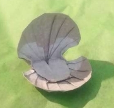 Origami Clam by Joseph Fleming on giladorigami.com