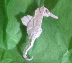Origami Seahorse by Joseph Fleming on giladorigami.com