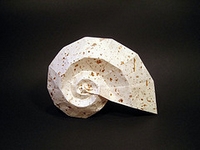 Origami Snail shell by Meguro Toshiyuki on giladorigami.com