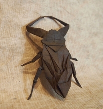 Origami Giant Water Bug by Imai Kota on giladorigami.com