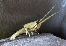 Origami California Rock lobster by Robert J. Lang on giladorigami.com