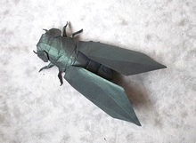 Origami Cicada by Robert J. Lang on giladorigami.com