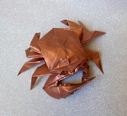 Origami Fiddler crab by Robert J. Lang on giladorigami.com