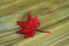 Origami Japanese maple leaf by Inayoshi Hidehisa on giladorigami.com