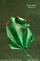 Origami Frog on leaf (Climb Peaks) by Sebastien Limet (Sebl) on giladorigami.com