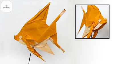 Japanese Origami Kit for Kids by Michael LaFosse - Yuki Origami