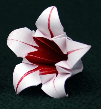 Origami Five Point Lily by Meenakshi Mukerji on giladorigami.com
