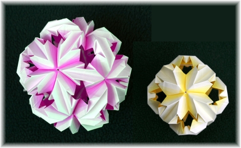 Origami Chrysanthemum Leory by Carlos Cabrino on giladorigami.com