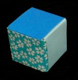 Origami Plain Cube by Meenakshi Mukerji on giladorigami.com