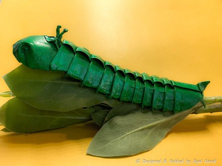 Origami Caterpillar by Eyal Nardi on giladorigami.com
