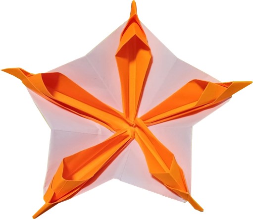 Origami 5 petal flower by Yossi Nir on giladorigami.com