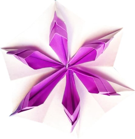 Origami 6 petal flower by Yossi Nir on giladorigami.com