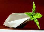 Origami Daikon radish by Toshikazu Kawasaki on giladorigami.com