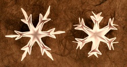 Origami Snowflake by Toshikazu Kawasaki on giladorigami.com