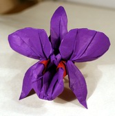 Origami Cattleya orchid by Michael G. LaFosse on giladorigami.com