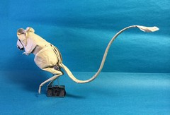 Origami Jerboa by Tran Trung Hieu on giladorigami.com