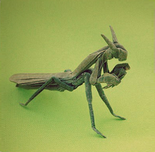 Origami Praying mantis by Paulius Mielinis on giladorigami.com